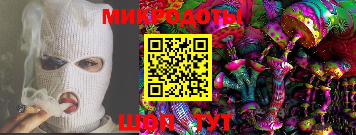 Псилоцибиновые грибы Psilocybe  Вход с VPN  Балтийск 