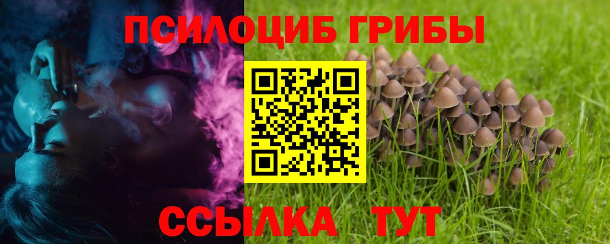 Галлюциногенные грибы прущие грибы Балтийск